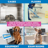 REScue Canister Wipes 12 Pack & Gallon Concentrate & RTU 32oz Disinfectant – Disinfectant Cleaner for Vet Use, Designed to Clean Kennels, Litter Boxes & More