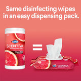 Clorox Scentiva Wipes, Bleach Free Cleaning Wipes, Household Essentials, Dorm Room Essentials, Tahitian Grapefruit Splash, 75 Count (Pack of 3)